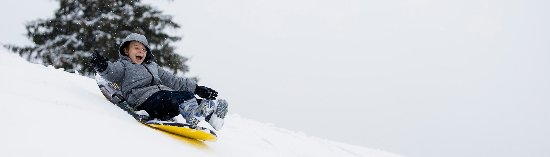 Home page banner image